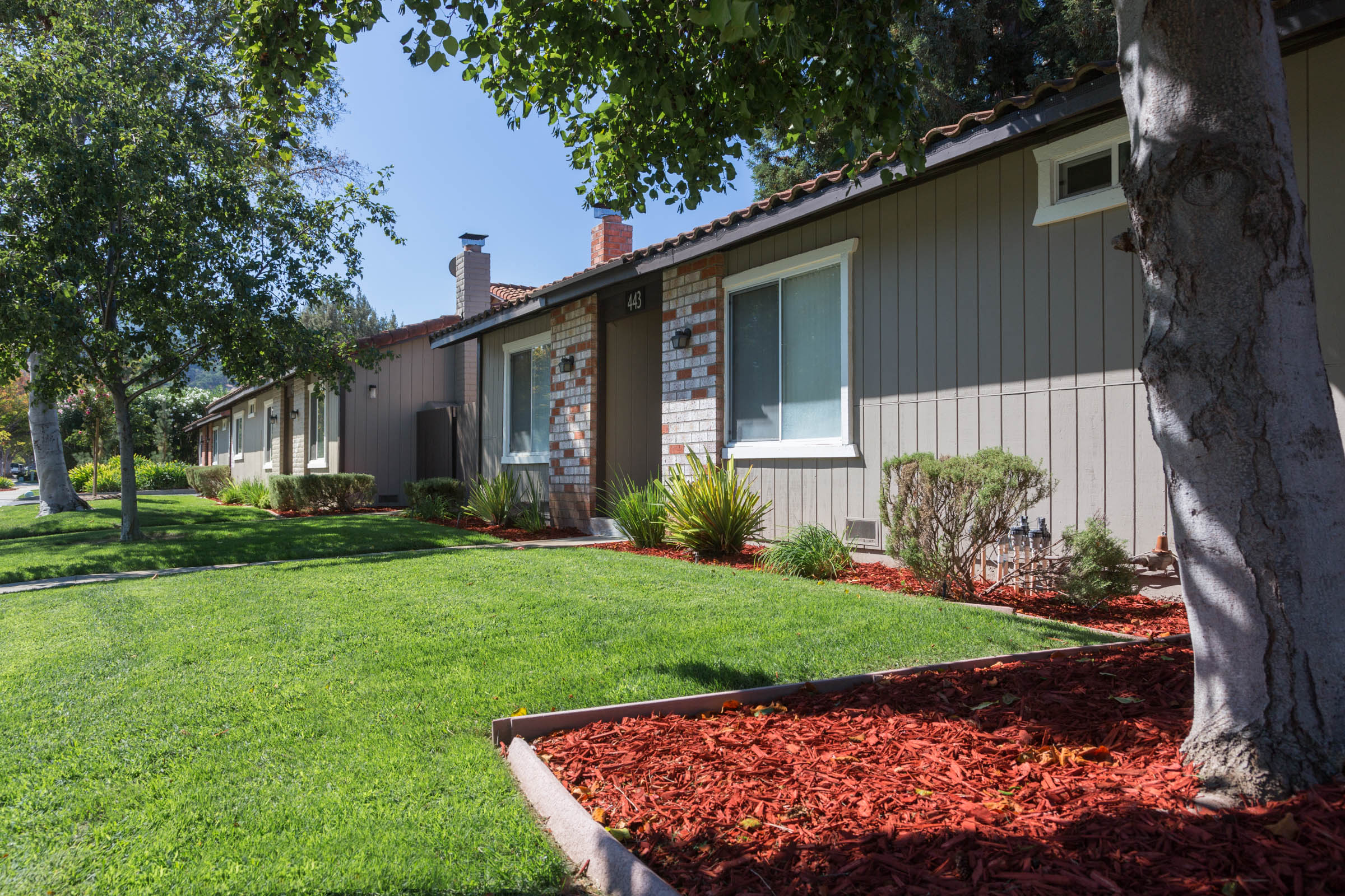Village Patio Homes & Apartments photo 4